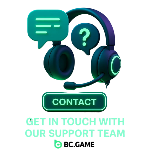 Support Team