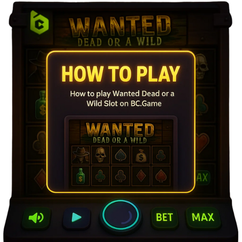 How to Play Wanted Dead or a Wild Slot on BC Game